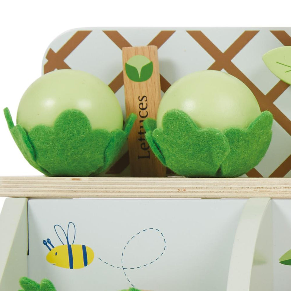 Growing Garden Wooden Toy